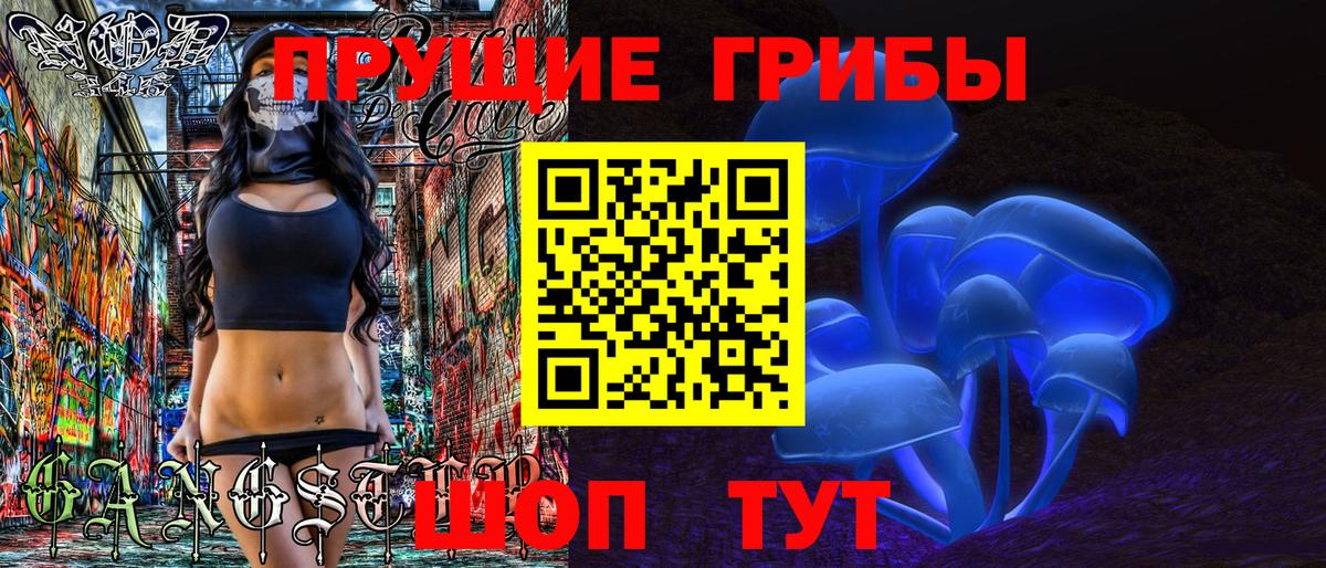 Галлюциногенные грибы Psilocybine cubensis  Вход с VPN  Псилоцибиновые грибы Psilocybe  Великий Устюг 