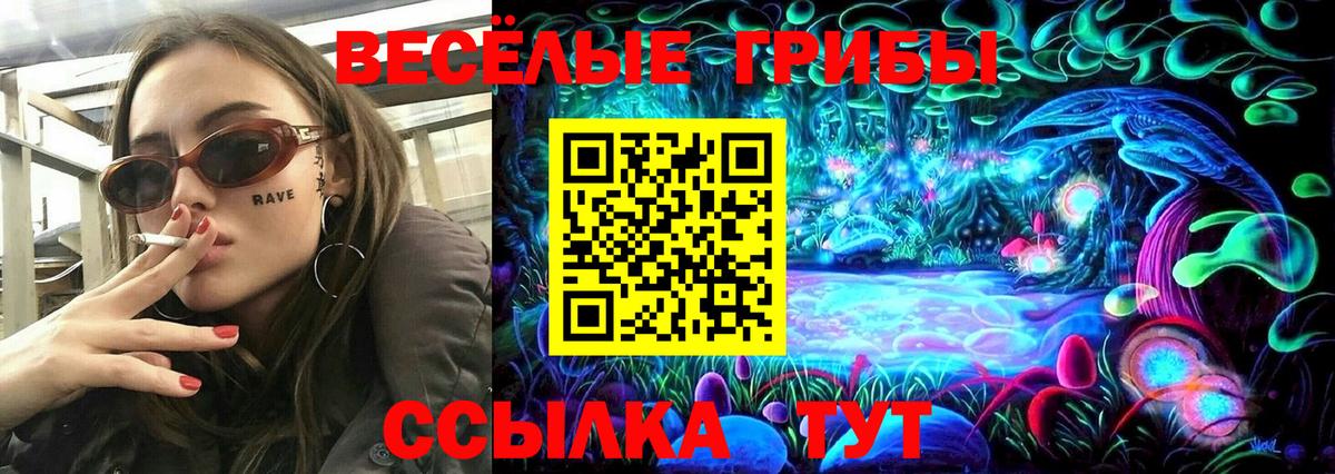 Галлюциногенные грибы прущие грибы Великий Устюг