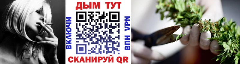 Каннабис планчик  Великий Устюг 