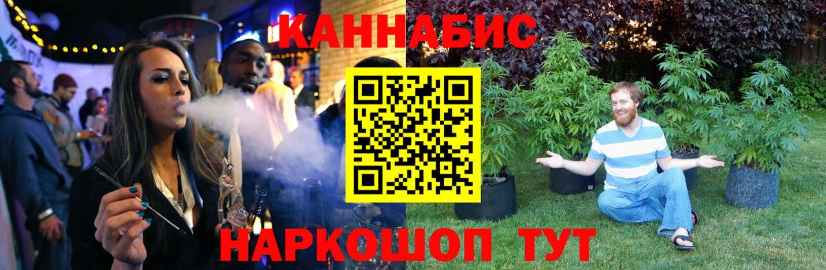 Бошки Шишки планчик Великий Устюг